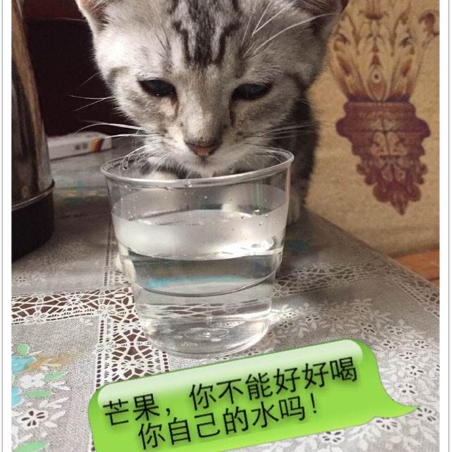 购买假的音乐水平考级证书